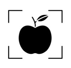 Object detection icon